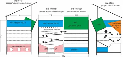 кроличья нора в сельской местности Стоковое Фото - изображение  насчитывающей кролик, убежище: 217571060