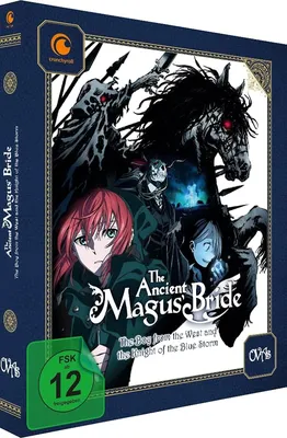 Selecta Visión lanzará The Ancient Magus Bride в физическом формате - Ramen Para Dos