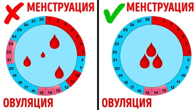 14 Вопросов о Месячных, Которые Вы Стесняетесь Задать Врачу - YouTube