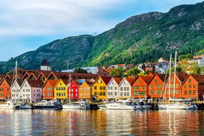 Правила въезда в Норвегию 2022: без ПЦР-теста и карантина