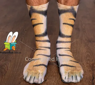 Прикольные носки \"Лапы тигра\" купить | 145 грн - Podaro4ek: цена, отзывы,  фото
