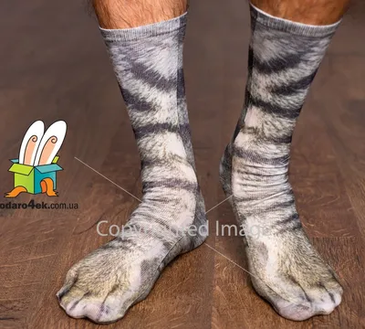 Дикие носки \"Лапы серого кота\" купить | 145 грн - Podaro4ek: цена, отзывы,  фото