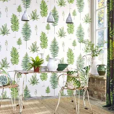 Обои Sanderson из Англии | Купить в Москве английские обои Fernery  Botanical sanderson из новой коллекции Glasshouse collection