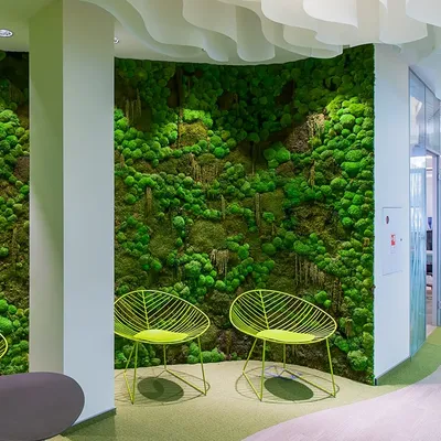 Озеленение бизнес-центров | Live Decor