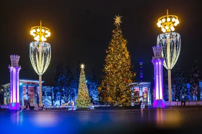Новогодняя елка в москве фотографии