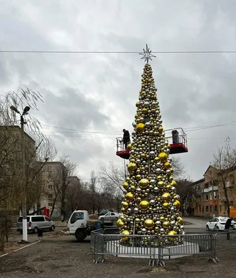 Волгоград | В Волгограде появилась первая новогодняя елка из шаров -  БезФормата