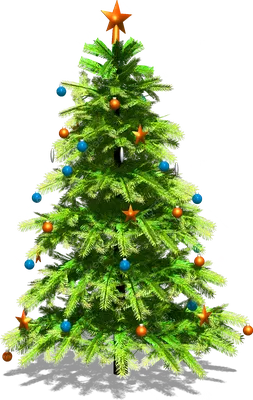 3d новогодняя елка с украшениями PNG , Рождественский подарок, С Рождеством  Христовым, праздничный день PNG картинки и пнг PSD рисунок для бесплатной  загрузки