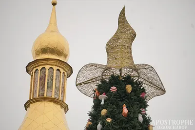 Новогодние праздники 2021 - какой будет главная елка в Киеве - фото -  Апостроф