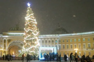 Главные новогодние ёлки городов России | Фото | Культура | Аргументы и Факты