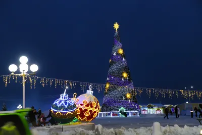 Главная новогодняя ёлка Камчатки ещё едет в Петропавловск – ИА Камчатка