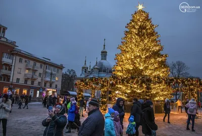 Новогодняя елка из Одессы вошла в число самых красивых в Украине, - ФОТО |  Новини