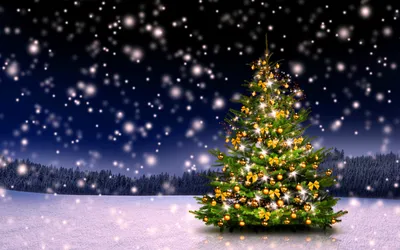 Картинка Новогодняя елка на поляне » Новый год » Праздники » Картинки 24 -  скачать картинки бесплатно