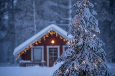 Обои Lapland, Finland, Лапландия, Финляндия, ель, гирлянда, дом, зима на  рабочий стол