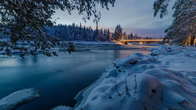 Природа Финляндии зимой (56 фото) - 56 фото