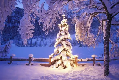 Зимние картинки красивые новогодние - 69 фото