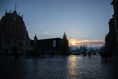Рига, латвия - 7 декабря 2018: дом черноголовых в риге. новогоднее  настроение и атмосфера. зимние праздники. | Премиум Фото