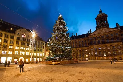 рождество на площади дам в амстердаме нидерланды ночью Фото Фон И картинка  для бесплатной загрузки - Pngtree
