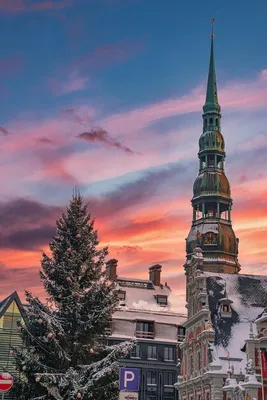 Рига, латвия - 10 января 2021 года: дом черноголовых, здание, расположенное  в зимней рождественской риге в латвии. | Премиум Фото