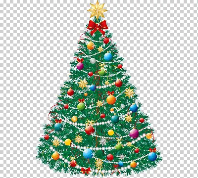 зеленая сосна, сосна, хвоя, рождественская елка png | Klipartz