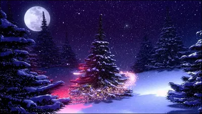 Обои на рабочий стол Волшебное свечение вокруг ели в лесу, в новогоднюю  ночь, обои для рабочего стола, скачать обои, обои бесплатно
