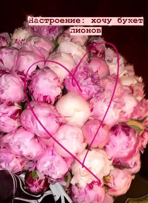 Пин от пользователя Алёна на доске Красивые цветы | Цветочные ящики, Букет  из розовых роз, Букет цветов