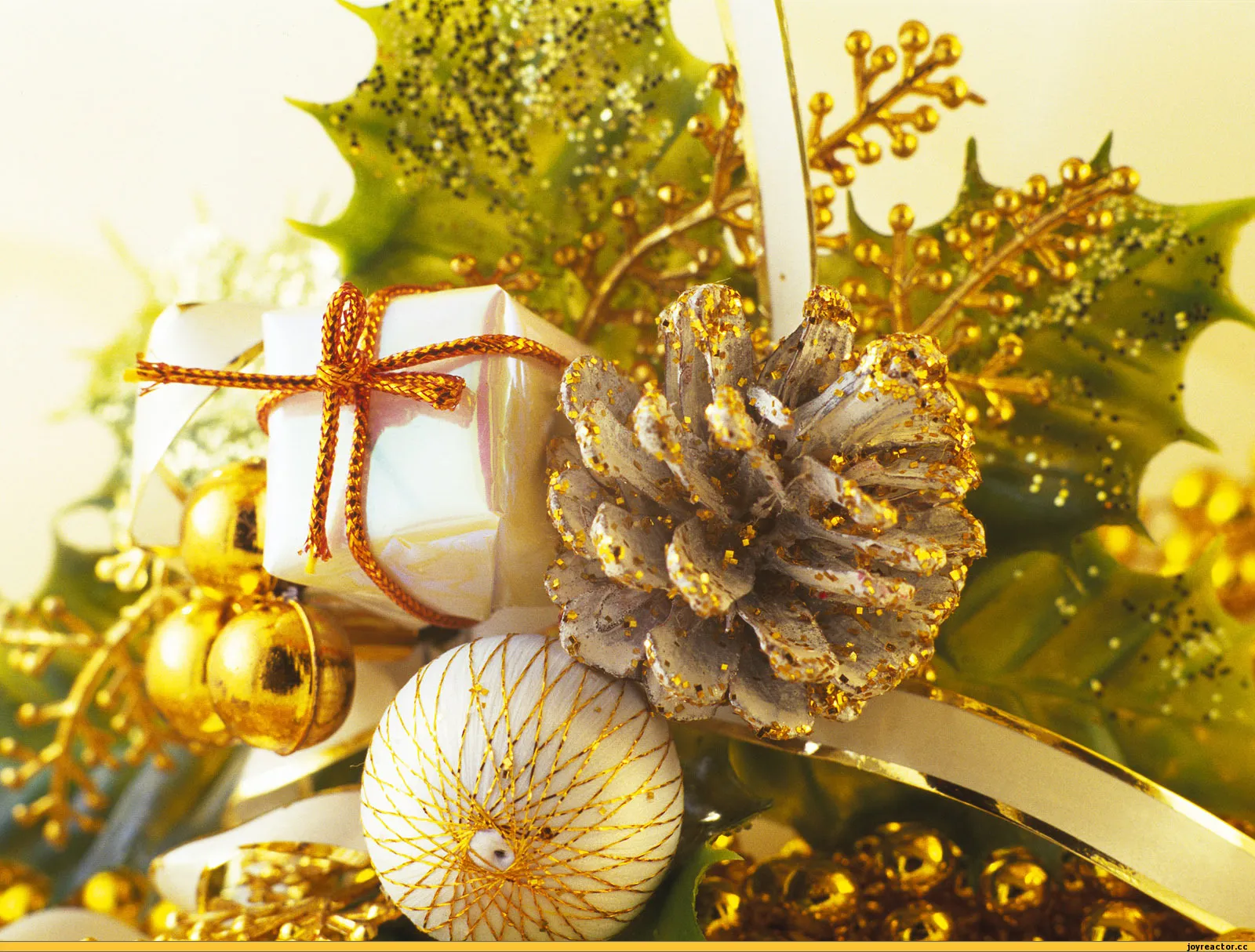 New Year :: елка :: Прикольные фото (прикольные и необычные фото девушек, природы и животных) / смешные картинки и другие приколы: комиксы, гиф анимация, видео, лучший интеллектуальный юмор. New Year :: елка :: Прикольные фото (прикольные и необычные фото девушек, природы и животных) / смешные картинки и другие приколы: комиксы, гиф анимация, видео, лучший интеллектуальный юмор.