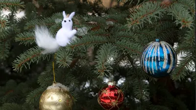 Тазик оливье, шоколадки на елке и застольные песни: советские новогодние  традиции звезд