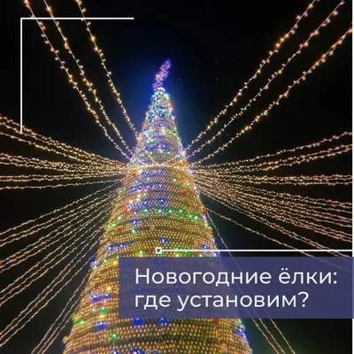 В Красгорпарке рассказали, где установят новогодние елки в этом году —  Новости 7 канала, Красноярск