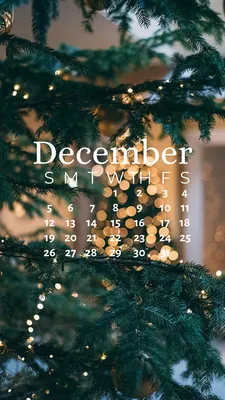 December 2021 Calendar Wallpaper | Calendar wallpaper, December wallpaper  iphone, Marry christmas wallpaper