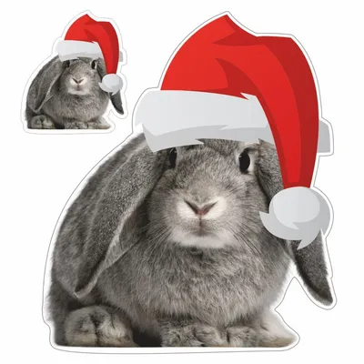 наклейка \"Кролик (заяц) в новогодней шапке\", 150х150 мм, вид 5, Арт рэйсинг  купить по выгодной цене в интернет-магазине OZON (736366081)