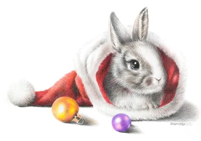 Новогодний кролик» картина Храпковой Светланы (бумага, карандаш) — купить  на ArtNow.ru