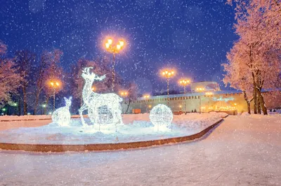 Новогодние праздники в Великом Новгороде и Старой Руссе (тур с выездом из  Санкт-Петербурга 3 дня + ж/д) - Туры в Великий Новгород