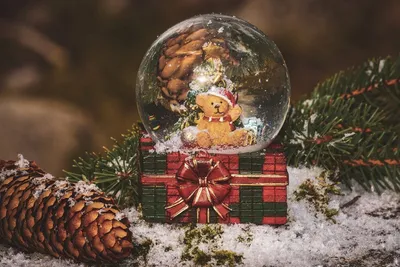 Обои на рабочий стол Стеклянный снежный шар с медвежонком в новогоднем  колпаке внутри стоит на снегу, рядом лежит шишка и еловые ветки, обои для  рабочего стола, скачать обои, обои бесплатно