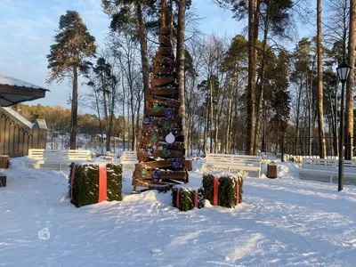 Монрепо остается самым посещаемым музеем региона | 10.01.2023 | Выборг -  БезФормата