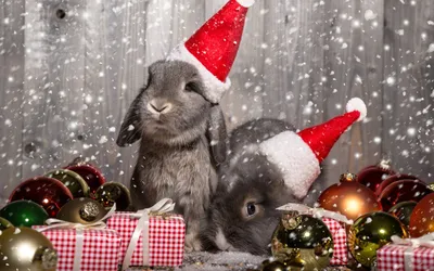 Скачать обои новый год, животные, подарки, шарики, кролики разрешение  1280x720 #191851