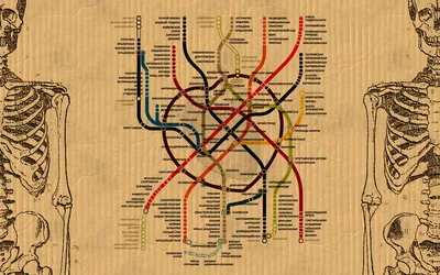 Обои на рабочий стол карта метро в виде кровеносной системы человека, обои  для рабочего стола, скачать обои, обои бесплатно
