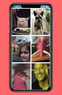 Мемы Обои Смешные Картинки HD – скачать приложение для Android – Каталог  RuStore
