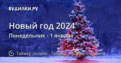 Празднование Нового Года 2024 в экопарке Акварель