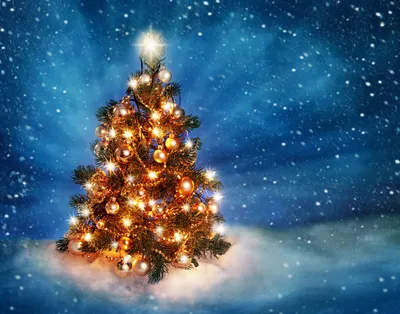 фото новый год красивые картинки: 13 тыс изображений найдено в Яндекс.Карт…  | Fondos de pantalla de feliz navidad, Fotografía de navidad, Árbol de  navidad con luces