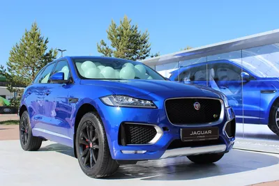 Кроссовер Jaguar F-Pace представлен официально