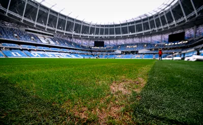 Почему на стадионе \"Динамо\" облысел газон, и что об этом сказал Лукашенко |  Новости Беларуси | euroradio.fm