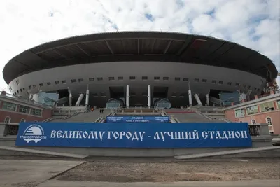 Новым символом стадиона «Зенита» станет баклан :: Футбол :: РБК Спорт