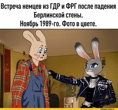 Ну, погоди! (сериал, 1 сезон, все серии), 1969-2017 — смотреть онлайн в  хорошем качестве — Кинопоиск