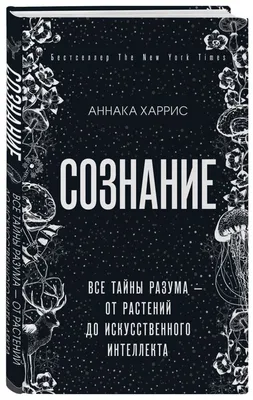 Искусственные растения бомбора купить в интернет-магазине онлайн с  доставкой. Цены, фото и отзывы