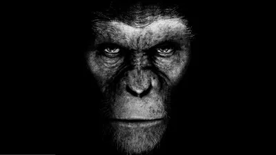 Новый тизер: «Война Планеты обезьян» от Мэтта Ривза | THR Russia