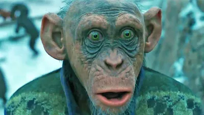 Что произошло в фильме «Планета обезьян: Война»? | Канобу