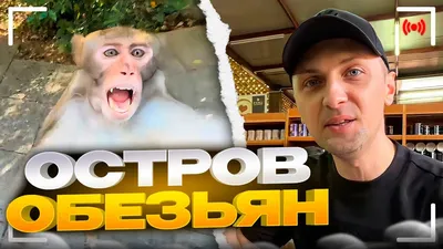 УГАРНАЯ ПРОГУЛКА ПО ОСТРОВУ ОБЕЗЬЯН! - YouTube