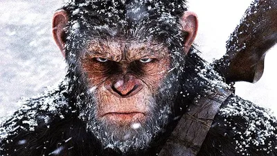 Планета обезьян: Война»: неповторимая история или голливудская  «Санта-Барбара»