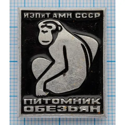 Значок ИЭПиТ АМН СССР, питомник обезьян купить