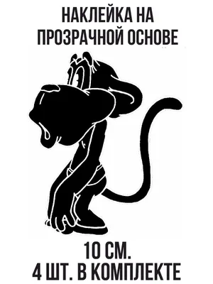 Приколы про обезьян. Амазонка, Бразилия. Tricks with monkeys. Amazon,  Brazil » uCrazy.ru - Источник Хорошего Настроения